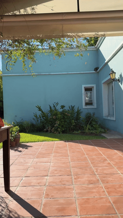 Hot Catwalk In My Garden Slutty College Girls