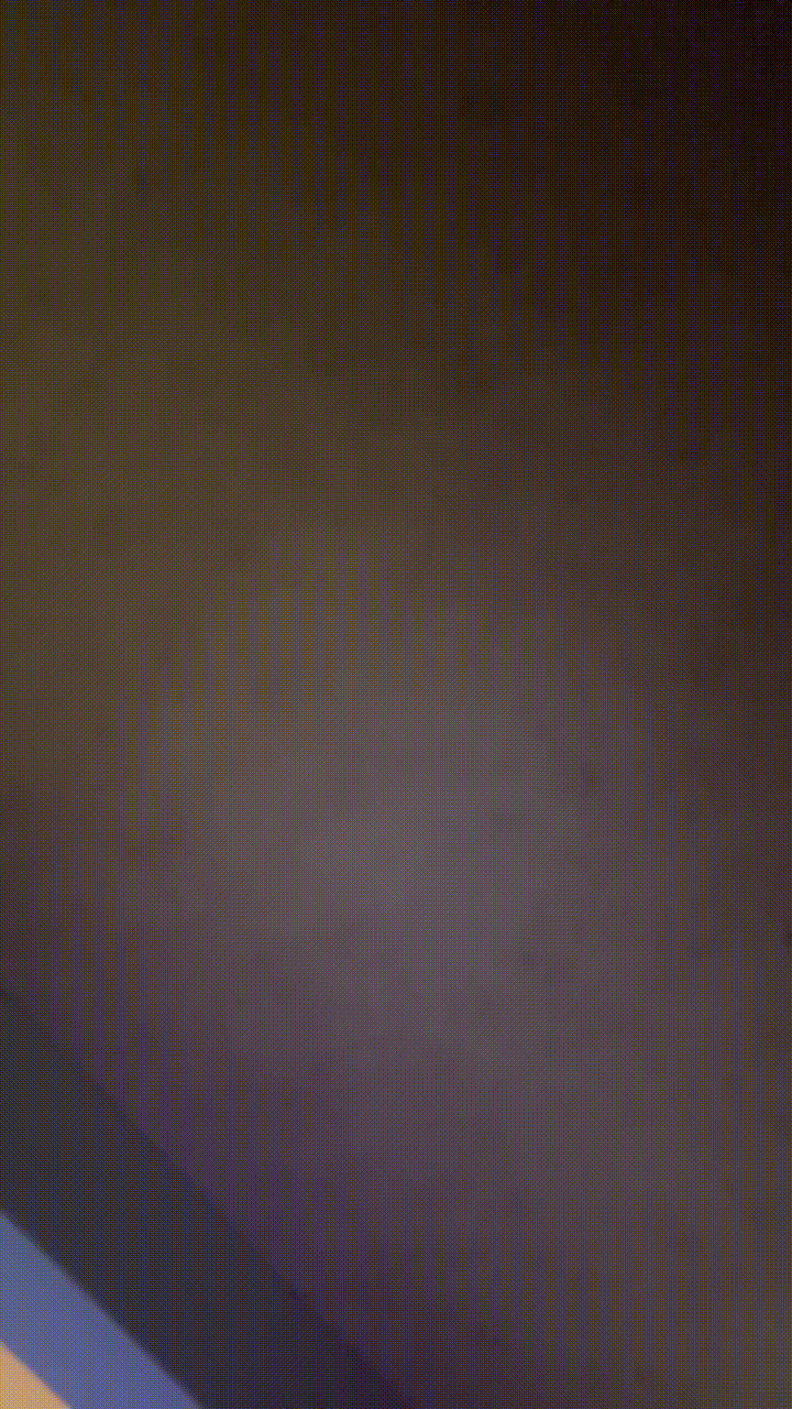 This View Deserves Some Attention Slutty College Girls